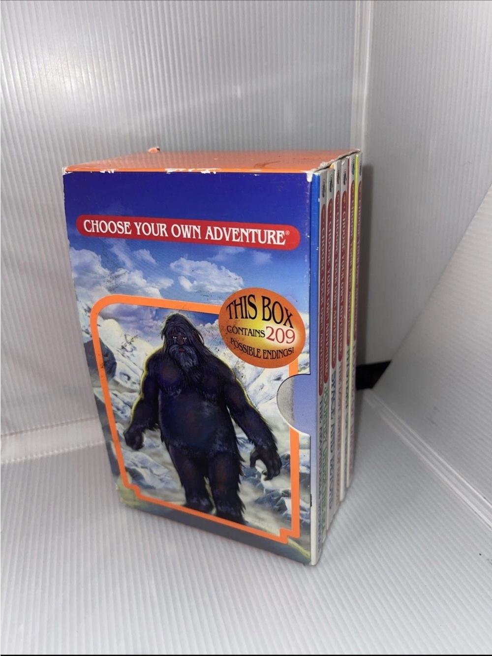 Choose Your Own Adventure 6-Book Boxed Set #1